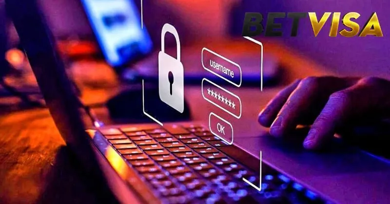 Phương thức thu thập dữ liệu tại Betvisa